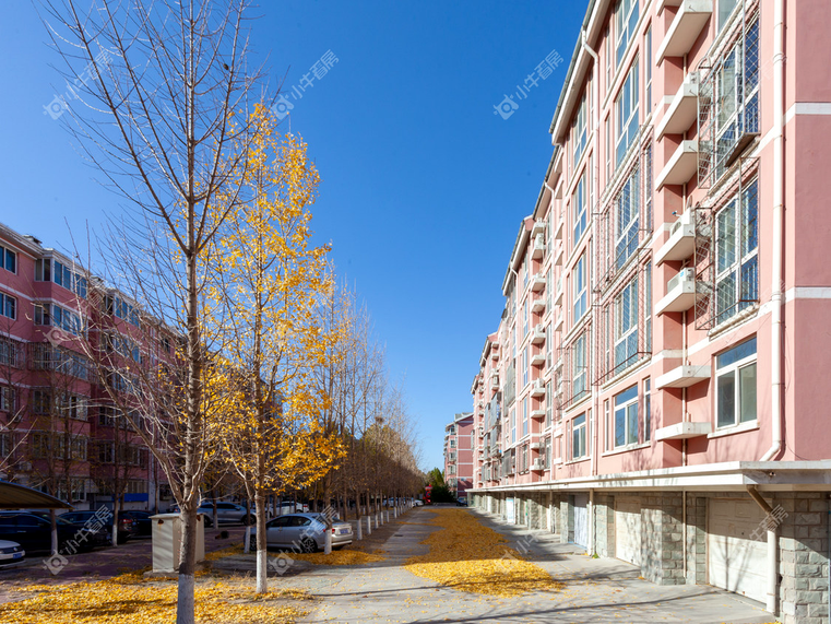 北京腾龙家园二区实景图