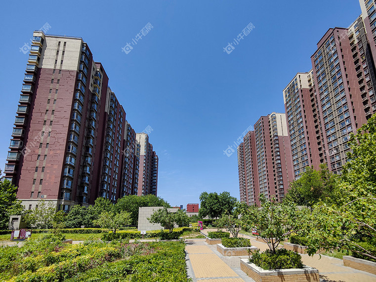 北京金科天宸荟实景图