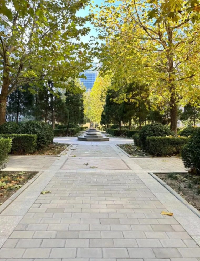 北京国际花园6号院实景图