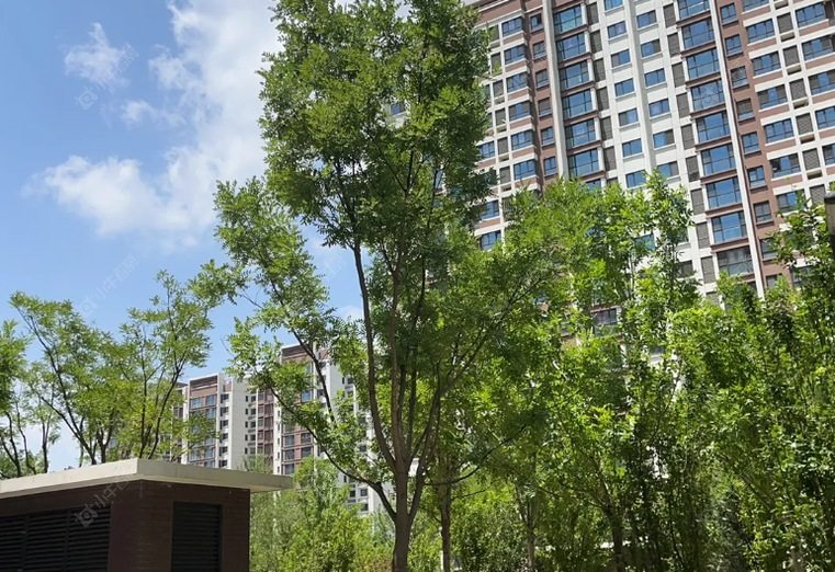 北京天丰苑A区实景图 北京天丰苑A区实景图