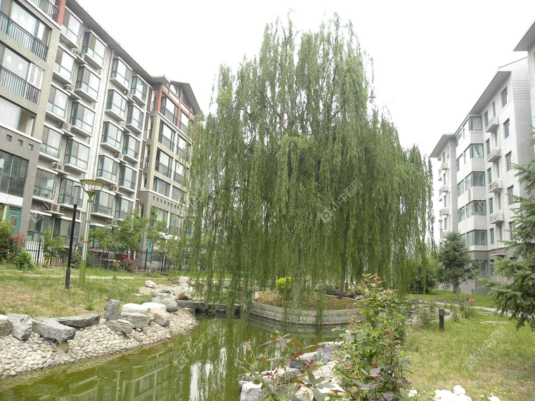 北京腾龙家园五区实景图
