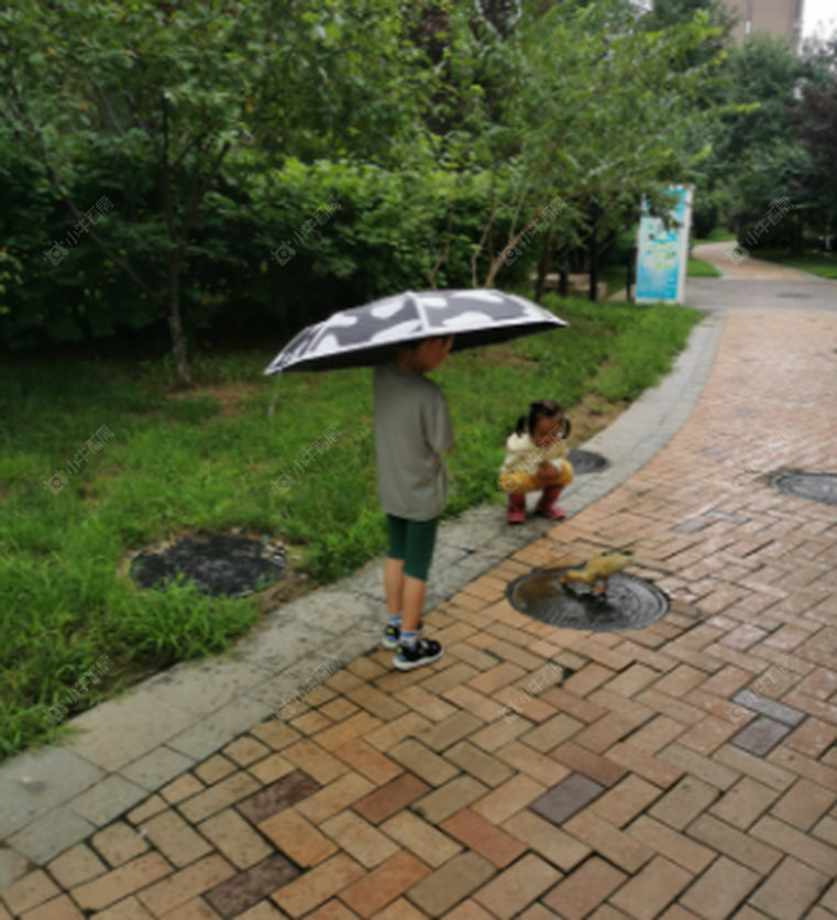 北京金地朗悦嘉园实景图