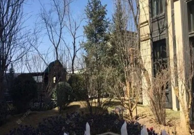 北京世茂维拉左右间实景图