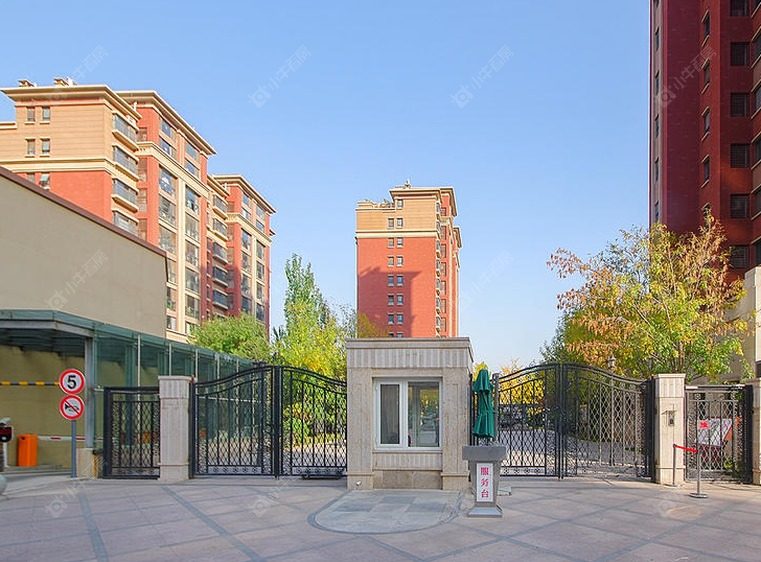北京金隅糖实景图