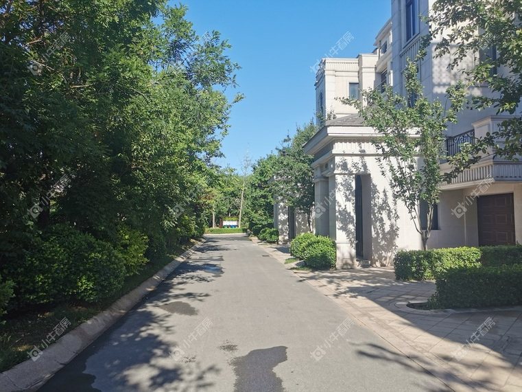 北京V7荷塘月色实景图