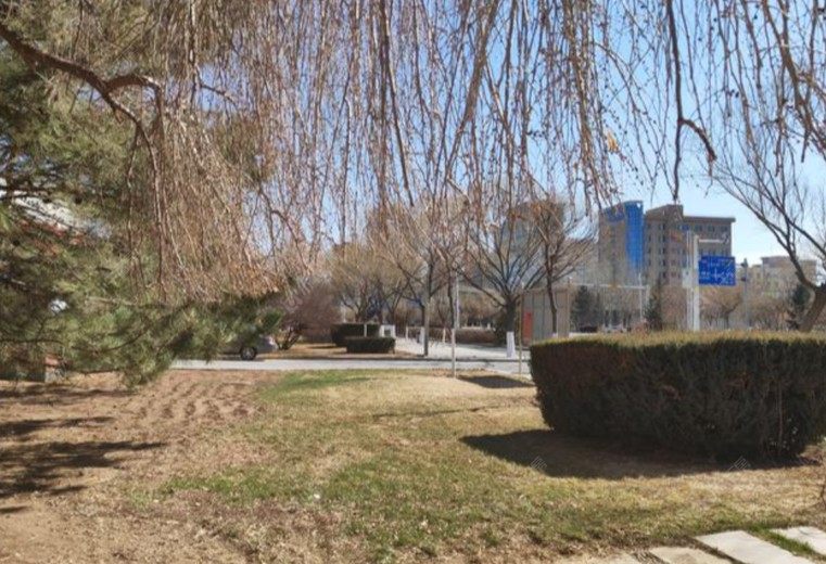 北京小西庄小区实景图 北京小西庄小区实景图