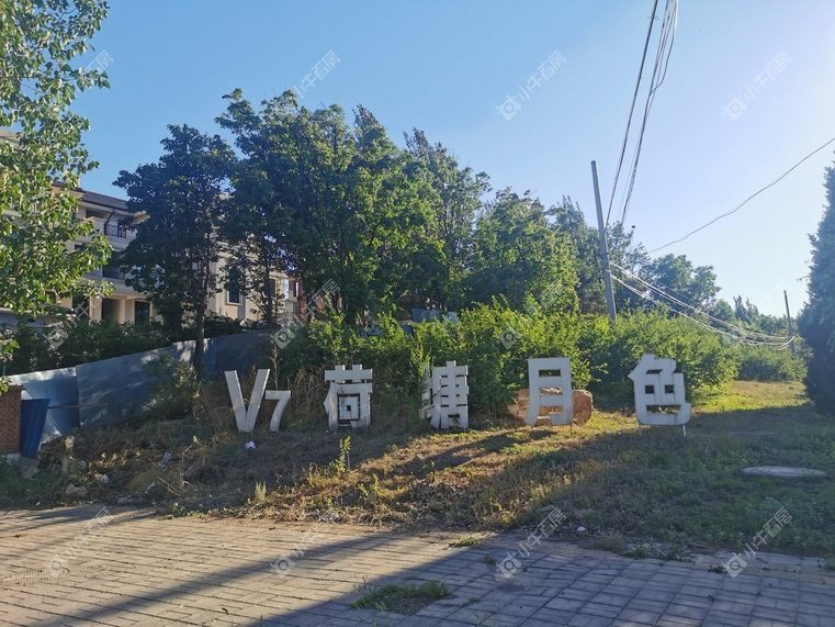 北京V7荷塘月色实景图