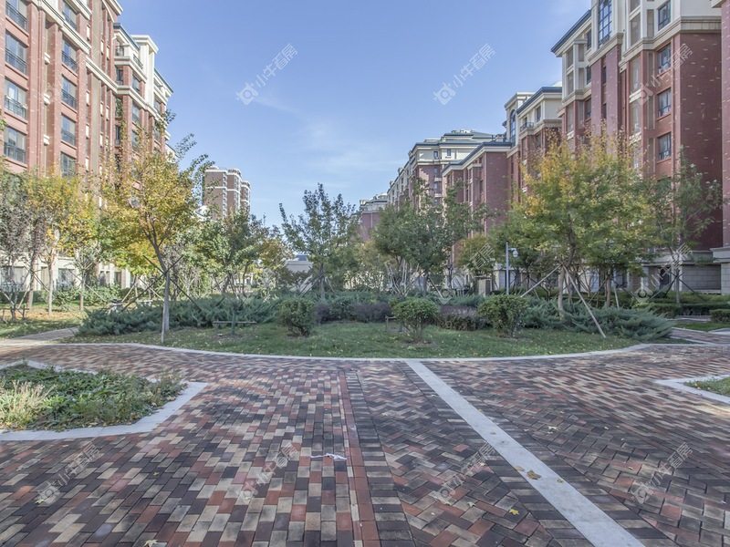 北京建邦华庭东区属于哪个街道，入学和办事怎么核验