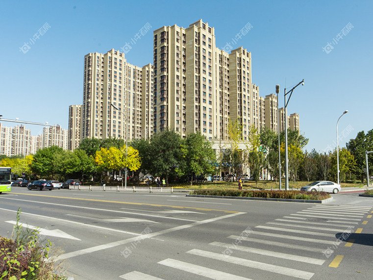 北京金科天宸荟实景图